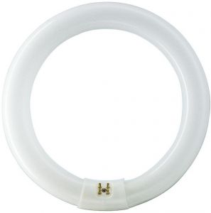 Tub Fluorescent Circular MASTER TL-E Circular Super 80 22W/865 G10q 6500k Philips