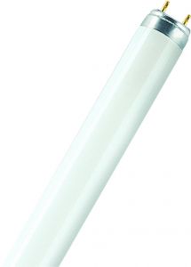 Tub Fluorescent T8 L 36 W/840