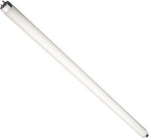 Tub fluorescent G13 58 W T8 lumina alba , Lumen