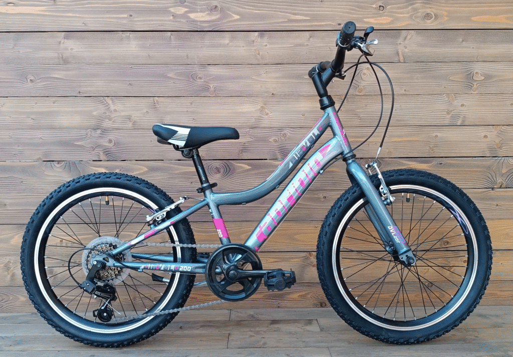 Bicicleta copii cu 6 viteze