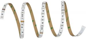 5m Banda Led RL-FX 5.5W/m 60Led 24VDC IP20 RGB