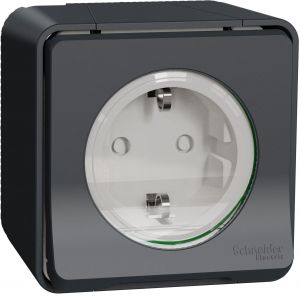 Mureva priza 2P+E, obt. PT gri