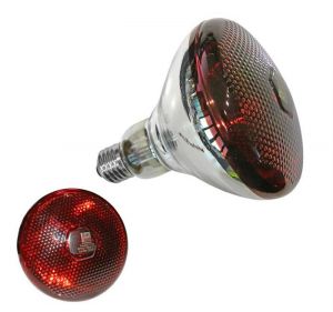 BEC infrarosu pentru incalzire 175W E27 R115
