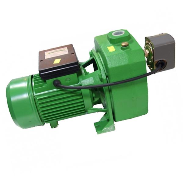Pompa de suprafata ProGarden JDP505A, 1100 W, 230 V, inaltime de refulare 70 m