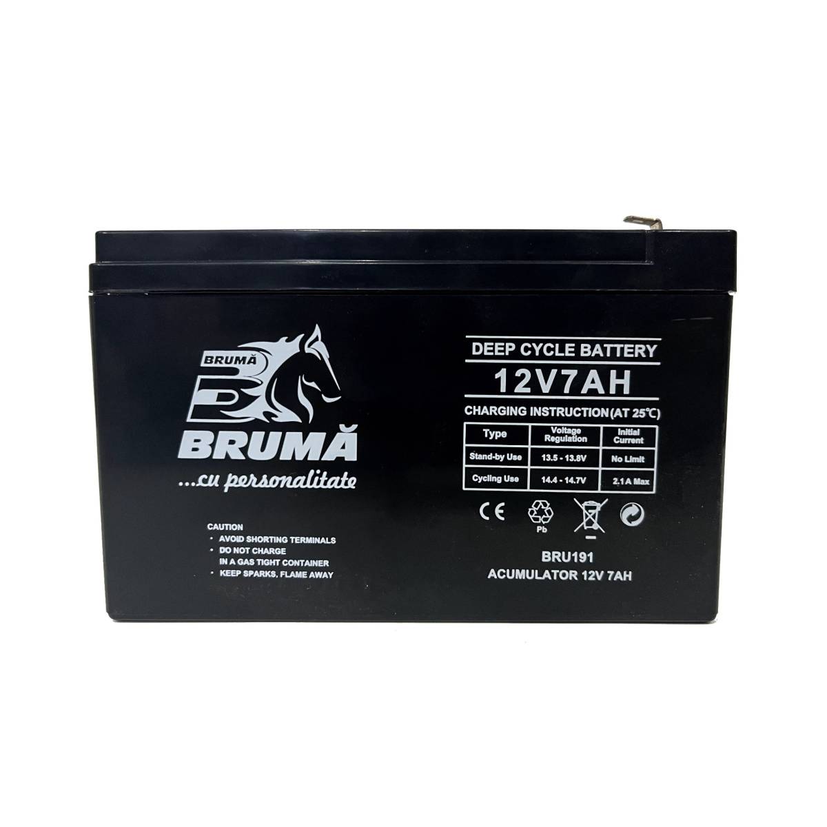 Baterie / Acumulator pompa de stropit