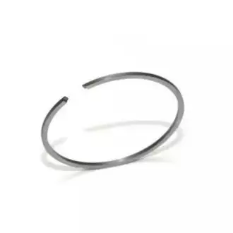 Segment Drujba 44MM*1.2MM CABER