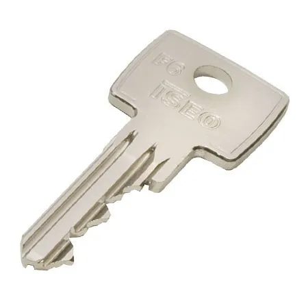 Cilindru Iseo F6 cu multe chei (Pachet chei 225 chei)
