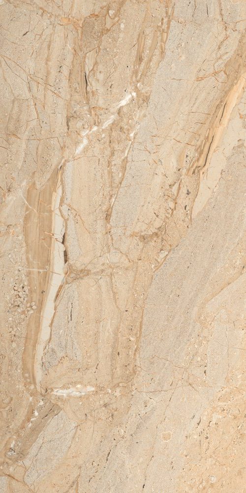 Gresie Dyna Delicato – Crystal Plus, 60 x 120, Lucios