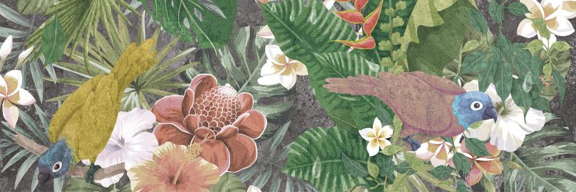 Decor Jungle 3, 30 x 90, Lucios