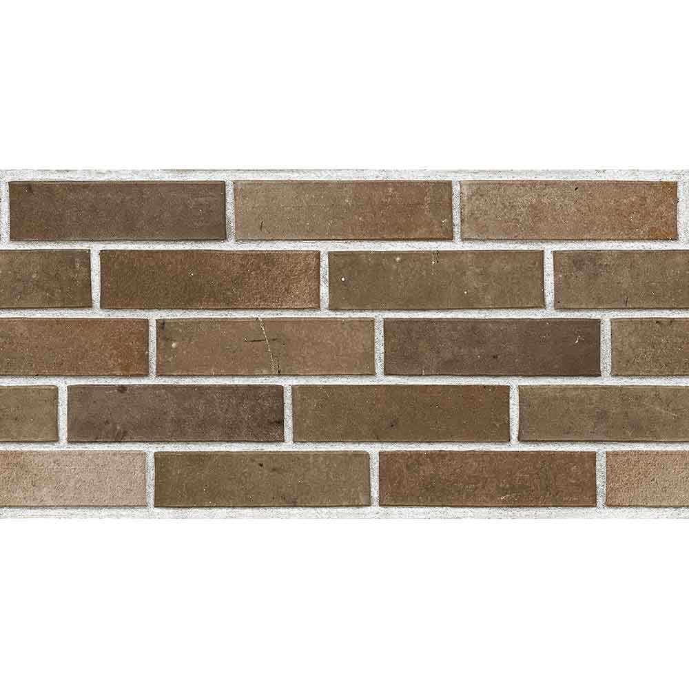Faianta Teracota Brown, 30 x 60, Mat