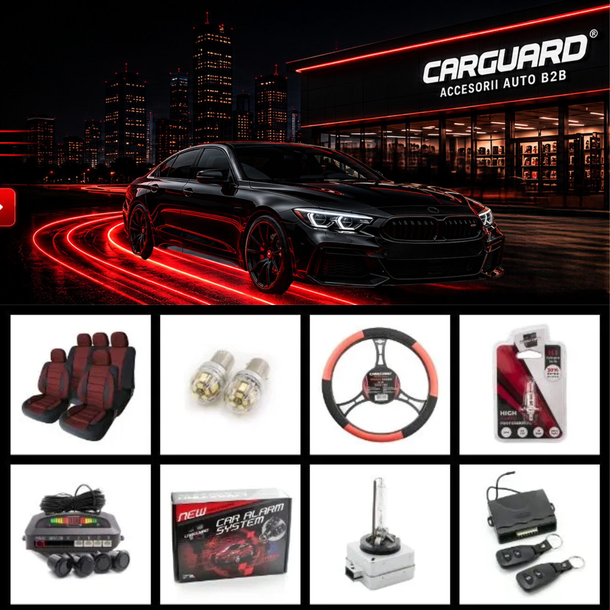 Accesorii și Consumabile Auto