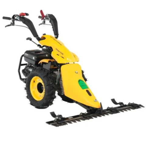 Reparatii MOTOCOSITORI